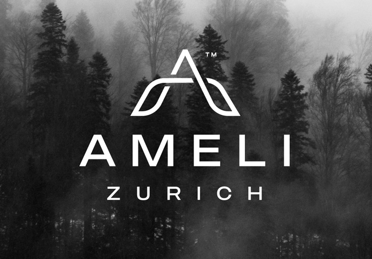 logo ameli