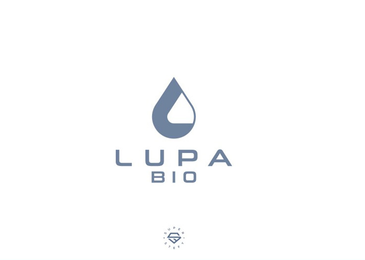 logo Lupa