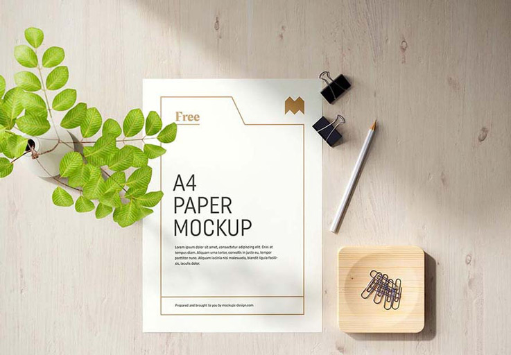 logo mockup 16