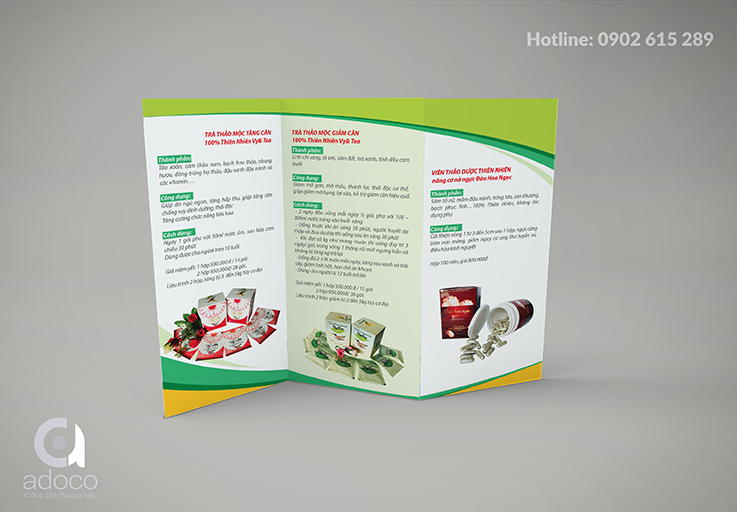 Thiết kế brochure công ty Havyco