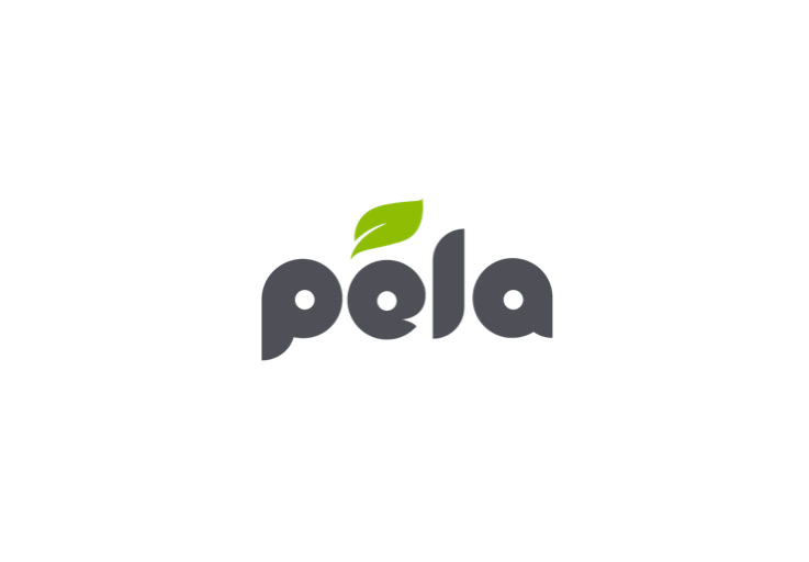 thiết kế logo pela