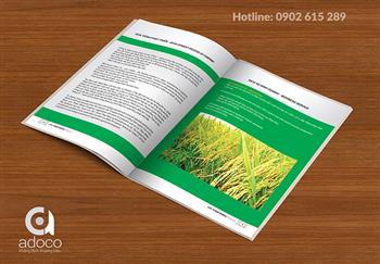 In profile công ty số lượng ít tại TP.HCM In profile công ty số lượng ít tại TP.HCM
