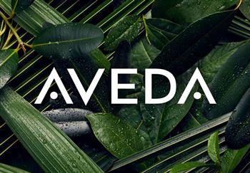 Lịch sử logo Aveda và ý nghĩa của nó Lịch sử logo Aveda và ý nghĩa của nó