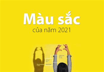 Màu sắc của năm 2021 và ứng dụng cho thiết kế logo công ty.