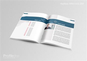 Thiết kế hồ sơ năng lực công ty đẹp Thiết kế hồ sơ năng lực công ty đẹp