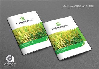 Thiết kế profile công ty đẹp cần những yếu tố nào