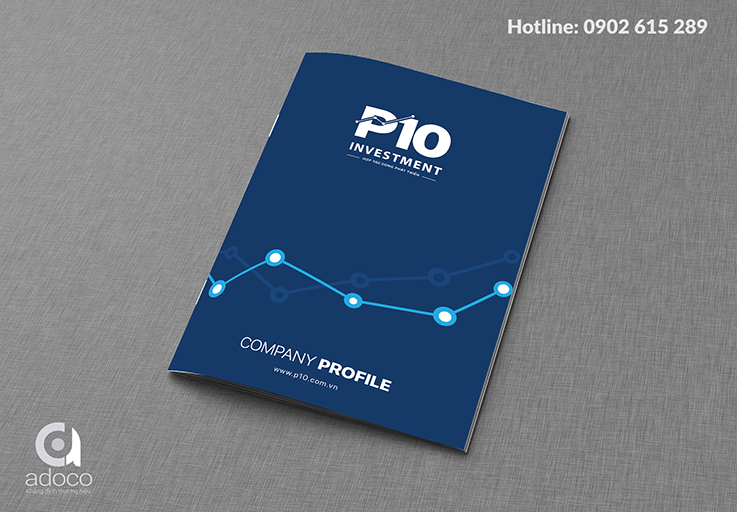 Thiết kế profile công ty P10