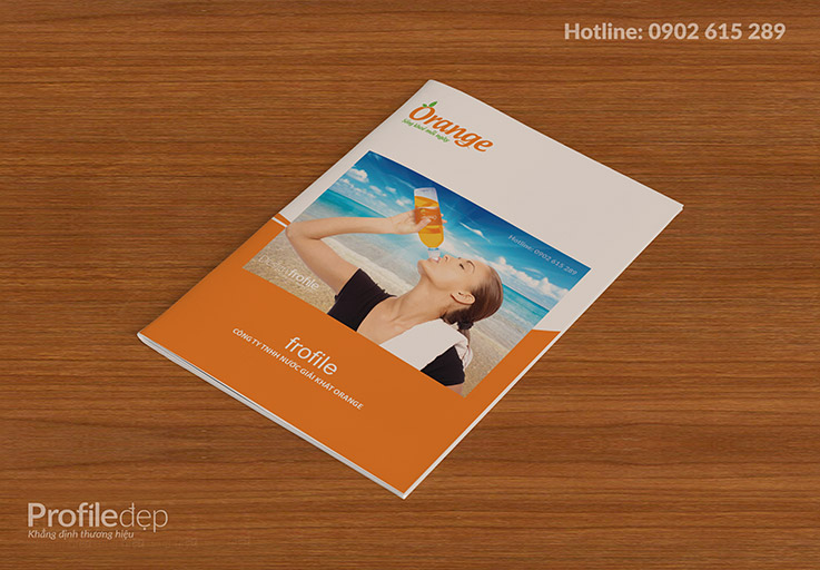 profile công ty nước giải khát orange profile công ty nước giải khát orange
