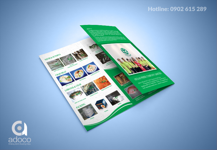 Thiết kế brochure công ty OceanPride